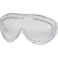 Lentille de rechange pour les lunettes &agrave; coques de s&eacute;curit&eacute; Uvex Flex Seal, Antibu&eacute;e, Transparent, Flex Seal Toolneeds Inc.