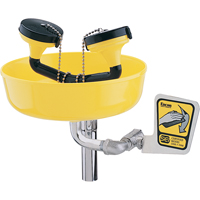 Eyewash Station, Supply Pipe Mount Installation, Plastic Bowl Toolneeds Inc.