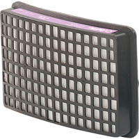 Speedglas Respiratory Protection-replacement Filters & Cartridges, P100 Filter, Pack of 2 Toolneeds Inc.