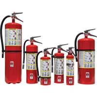Fire Extinguisher, ABC, 30 lbs. Capacity Toolneeds Inc.