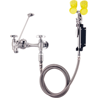 Faucet & Eyewash Station, Sink Mount Installation Toolneeds Inc.