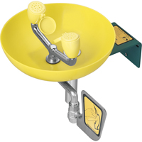 Eye/Face Wash Station, Wall-Mount Installation, Plastic Bowl Toolneeds Inc.