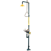 Safe-T-Zone&reg; Combination Shower & Eye/Face Wash Toolneeds Inc.