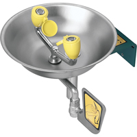 Eyewash Station, Wall-Mount Installation, Stainless Steel Bowl Toolneeds Inc.