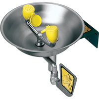 Eye/Face Wash Station, Wall-Mount Installation, Stainless Steel Bowl Toolneeds Inc.
