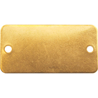 &eacute;tiquettes vierges, Laiton, 2" la x 1" h Toolneeds Inc.