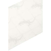 Premium Anti-Skid Tape, 4" x 60', Clear Toolneeds Inc.