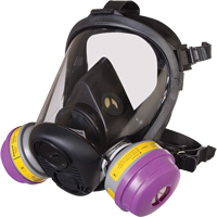 Respirateur &agrave; masque complet de s&eacute;rie RU6500 de North, Silicone, Petit Toolneeds Inc.