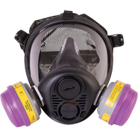 Respirateur &agrave; masque complet de s&eacute;rie RU6500 de North, Silicone, Petit Toolneeds Inc.