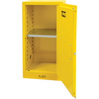 Flammable Storage Cabinet, 16 gal., 1 Door, 23" W x 44" H x 18" D Toolneeds Inc.