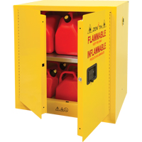 Flammable Storage Cabinet, 22 gal., 2 Door, 35" W x 35" H x 22" D Toolneeds Inc.