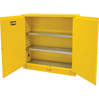 Flammable Storage Cabinet, 24 gal., 2 Door, 43" W x 44" H x 12" D Toolneeds Inc.