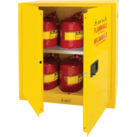 Flammable Storage Cabinet, 30 gal., 2 Door, 43" W x 44" H x 18" D Toolneeds Inc.