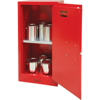 Paint/Ink Cabinet, 20 gal. Toolneeds Inc.