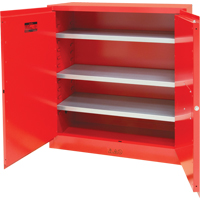 Paint/Ink Cabinet, 45 gal., 3 Shelves Toolneeds Inc.