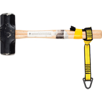 Sangle de fixation pour outil Toolneeds Inc.