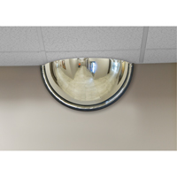 180° Dome Mirror, Half Dome, Closed Top, 18" Diameter Toolneeds Inc.