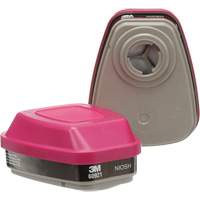 Cartouches pour respirateur s&eacute;rie 6000, Cartouche gaz/vapeur, Vapeurs organiques/P100 Toolneeds Inc.