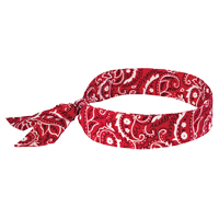 Foulards de refroidissement Chill-Its 6700, Rouge Toolneeds Inc.