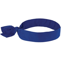 Foulards de refroidissement Chill-Its 6700, Bleu Toolneeds Inc.