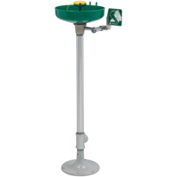 Axion&reg; Eye/Face Wash Station, Pedestal Installation, Plastic Bowl Toolneeds Inc.
