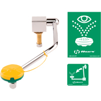 Eye/Face Wash Station, Sink Mount Installation Toolneeds Inc.