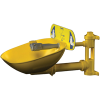Halo Eyewash Stations, Wall-Mount Installation, Plastic Bowl Toolneeds Inc.