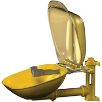 Halo Eyewash Stations, Wall-Mount Installation, Plastic Bowl Toolneeds Inc.