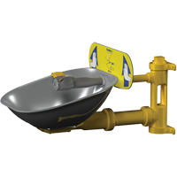 Halo Eyewash Stations, Wall-Mount Installation, Stainless Steel Bowl Toolneeds Inc.