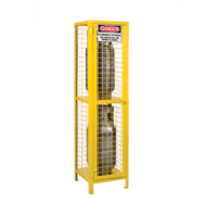 Gas Cylinder Cabinets, 2 Cylinder Capacity, 17" W x 17" D x 69" H, Yellow Toolneeds Inc.