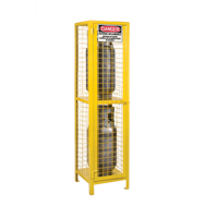 Gas Cylinder Cabinets, 2 Cylinder Capacity, 17" W x 17" D x 69" H, Yellow Toolneeds Inc.