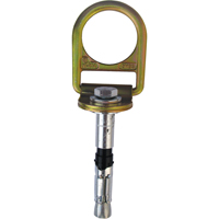 PRO Concrete D-ring Anchor with Bolt, Concrete/D-Ring, Permanent Use Toolneeds Inc.