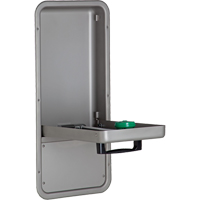 Eye/Face Wash Station, Wall-Mount Installation, Stainless Steel Bowl Toolneeds Inc.