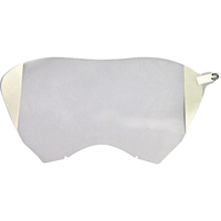 Protecteurs du visage de rechange pour respirateurs &agrave; masque complet 9000 Toolneeds Inc.