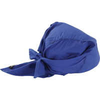 Foulards de refroidissement en triangle Chill-Its 6710CT, Bleu Toolneeds Inc.