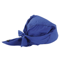 Foulards de refroidissement en triangle Chill-Its 6710, Bleu Toolneeds Inc.