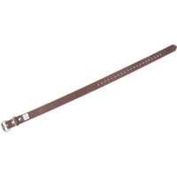 Leg Straps Toolneeds Inc.