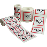 GHS Pictogram Labels, Vinyl, Roll, 4" L x 4" W Toolneeds Inc.