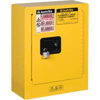 Sure-Grip&reg; EX Mini Flammable Safety Cabinet, 2 Gal., 1 Door, 17" W x 22" H x 8" D Toolneeds Inc.