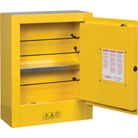 Sure-Grip&reg; EX Mini Flammable Safety Cabinet, 2 Gal., 1 Door, 17" W x 22" H x 8" D Toolneeds Inc.