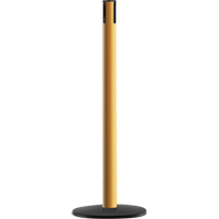 Advance TensaBarrier&reg; - Receiver Post, 36" High, Yellow Toolneeds Inc.