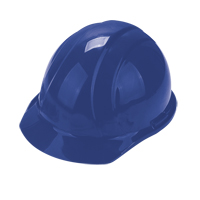 Worker's PPE Starter Kit Toolneeds Inc.