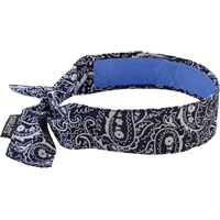 Chill-Its&reg; 6700CT Cooling Bandanas, Blue Toolneeds Inc.