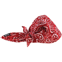 Bandeaux en triangle 6710CT de refroidissement en tissu de serviette Chill-Its, Rouge Toolneeds Inc.