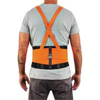 Ceinture de support dorsal haute visibilit&eacute; en &eacute;lasthanne ProFlex 100HV, &eacute;lastique, T-petit Toolneeds Inc.