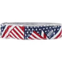 Chill-Its 6605 Cooling Headbands, Multi-Colour Toolneeds Inc.