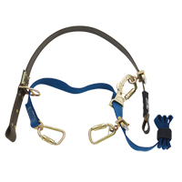 Cynch-Lok Web Pole Climbing Device Toolneeds Inc.