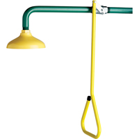 Lifesaver&reg; Emergency Overhead Showers, Wall-Mount Toolneeds Inc.