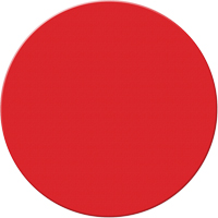 Marqueurs all&eacute;g&eacute;e/5S Armor Stripe, Cercle, 6" lo x 6" la, Rouge, Plastique Toolneeds Inc.