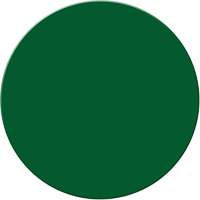 Marqueurs all&eacute;g&eacute;e/5S Armor Stripe, Cercle, 6" lo x 6" la, Vert, Plastique Toolneeds Inc.